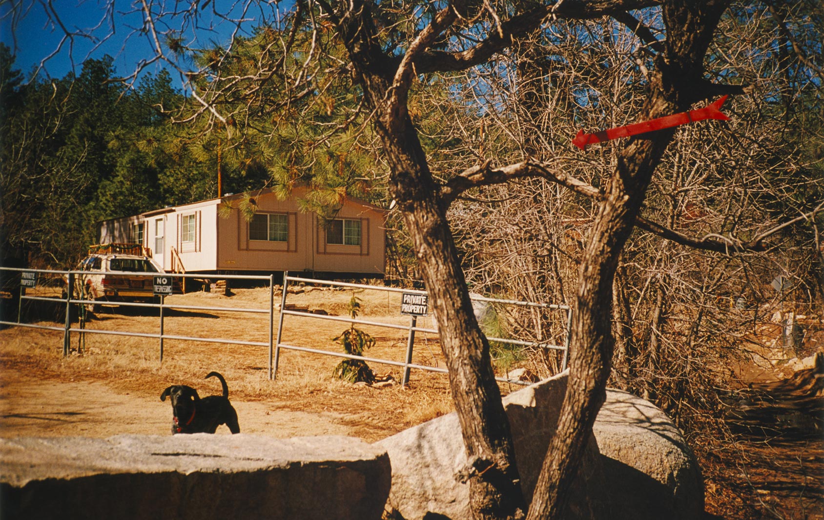 Rick Guest – Americana