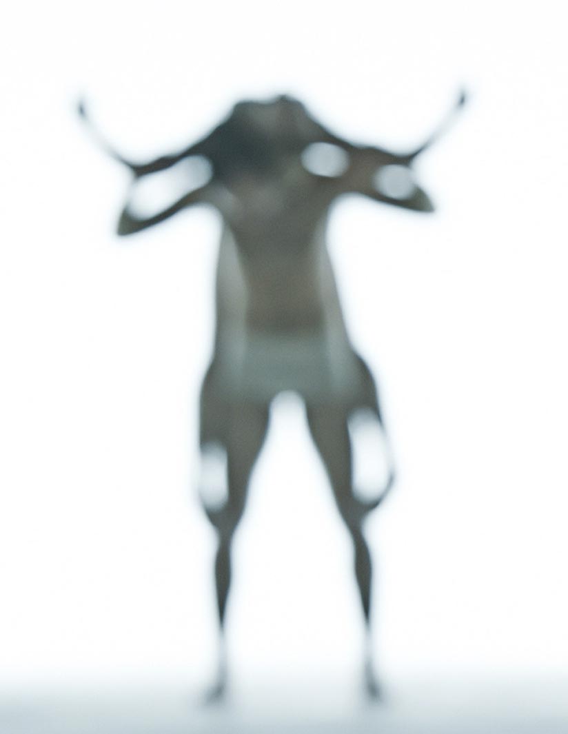 Rick Guest – Form